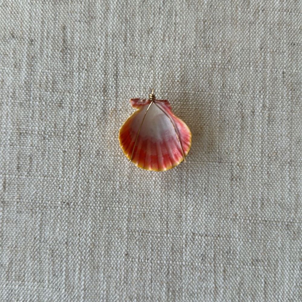 Sunrise sea shell - Picture 2 of 7